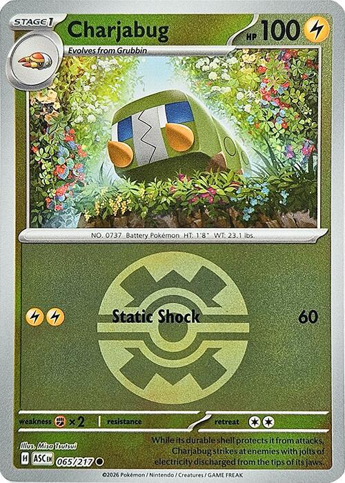 Charjabug - 065/217 (Quick Ball) - ME: Ascended Heroes (ASC) by SAFAQATI on MYNTED