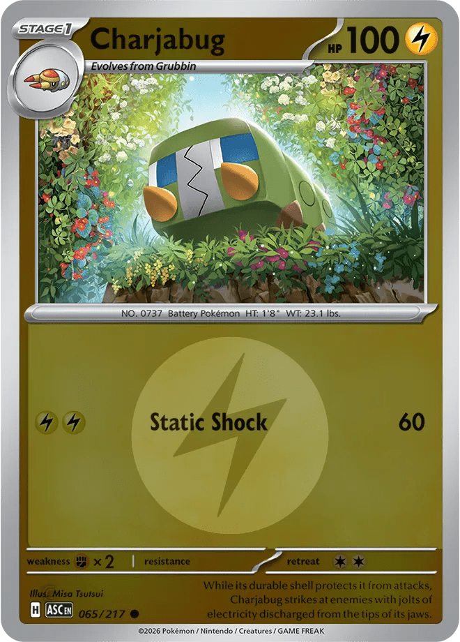 Charjabug (Energy Symbol Pattern) 065/217 (Ascended Heroes) by Collectorbull on MYNTED