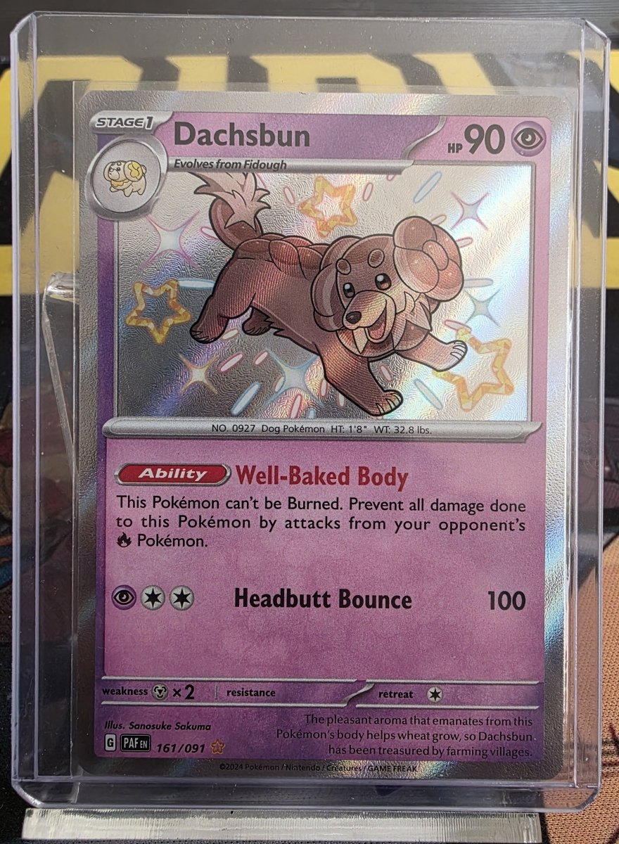 Dachsbun (Shiny Rare) 161/091 - Paldean Fates by shad0wknightTCG on MYNTED