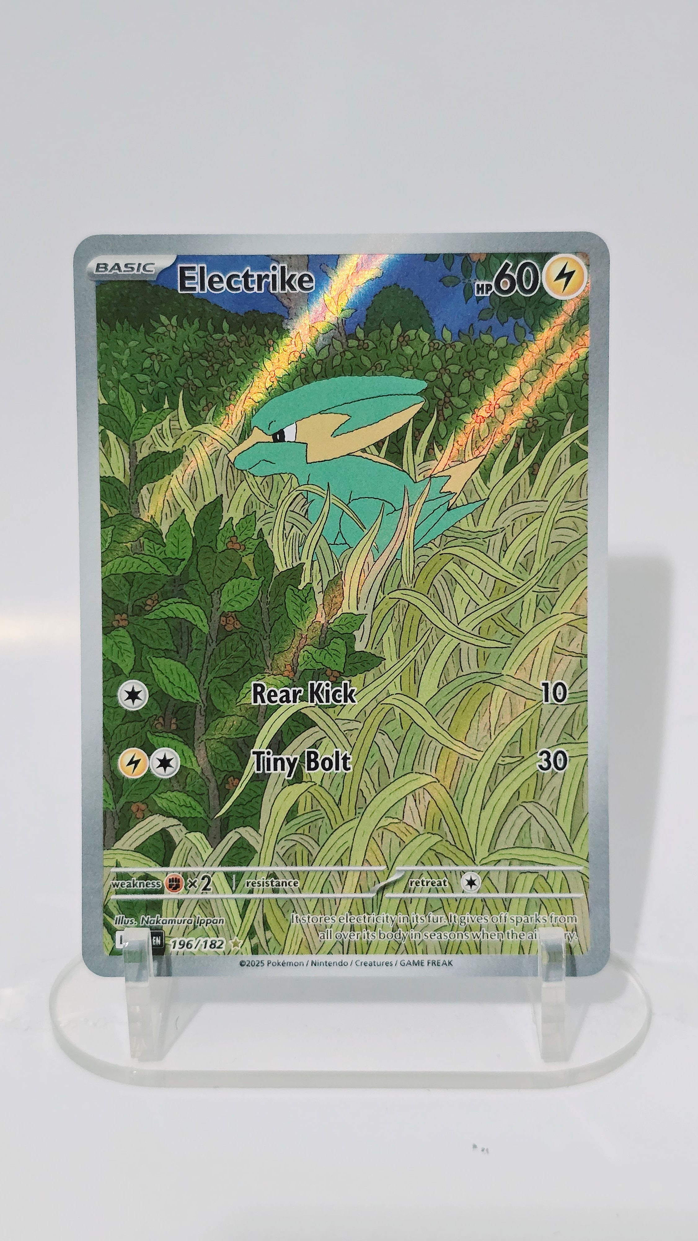 Electrike - Destined Rivals - IR 196/182 - English