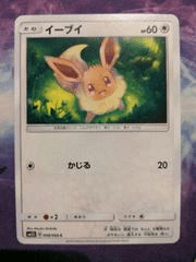 Eevee 48 Pokemon Japanese Ultra Sun by Dante The Snake MTG on MYNTED