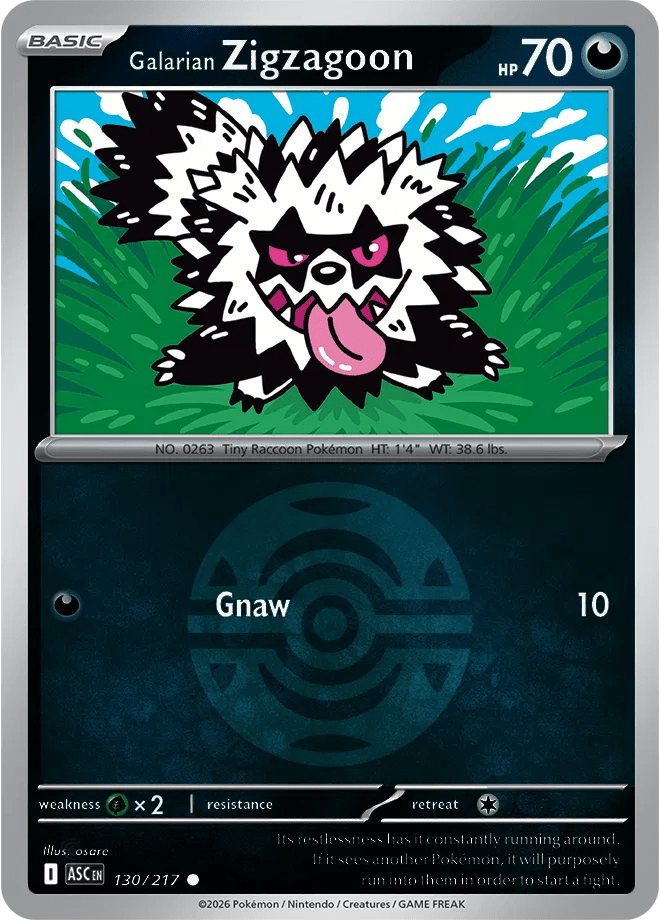 Galarian Zigzagoon (Dusk Ball) Ascended Heroes Common 130/217 by Shark Pop Culture on MYNTED