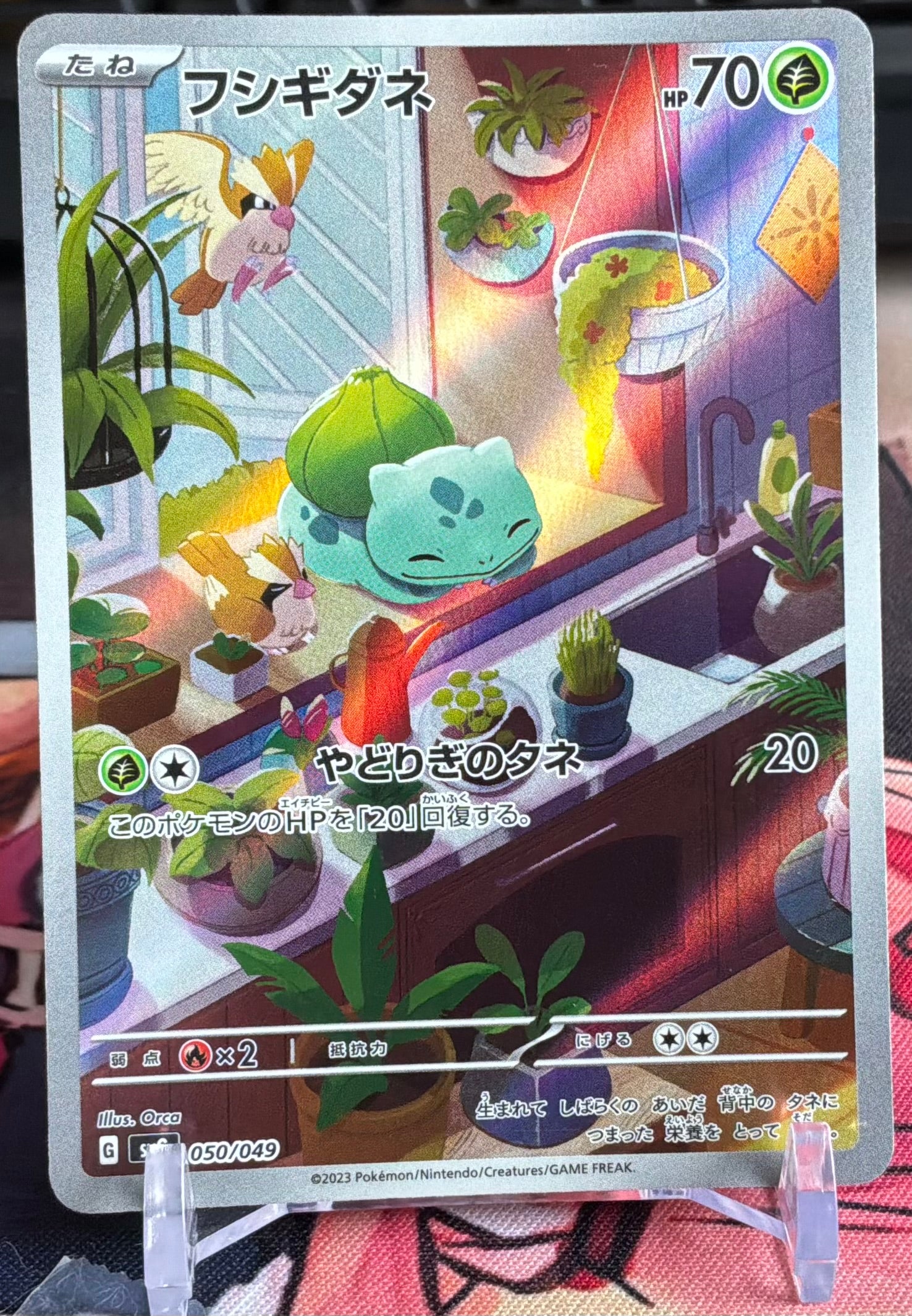 Bulbasaur (JP) 050/049