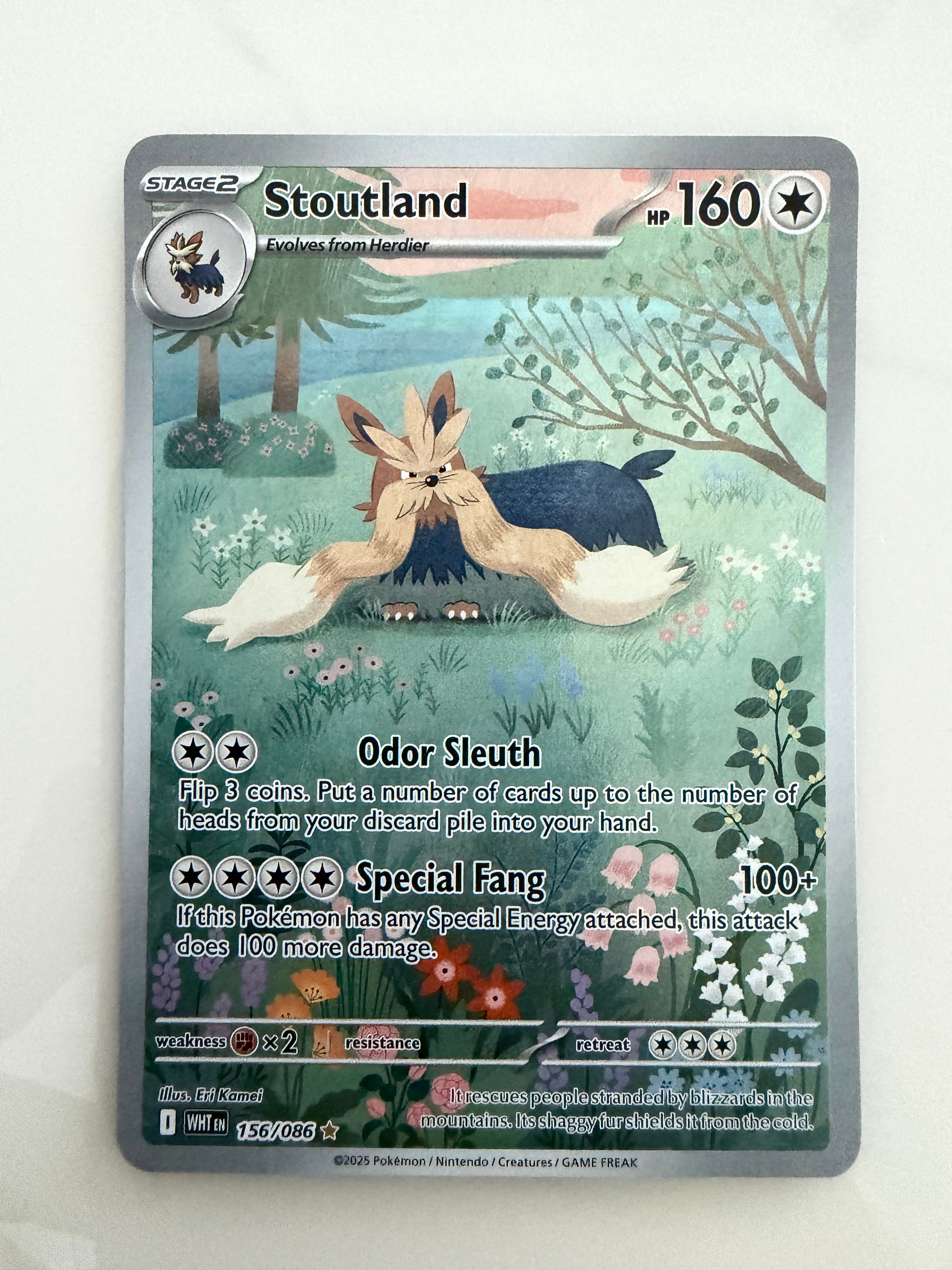 Stoutland - 156/086