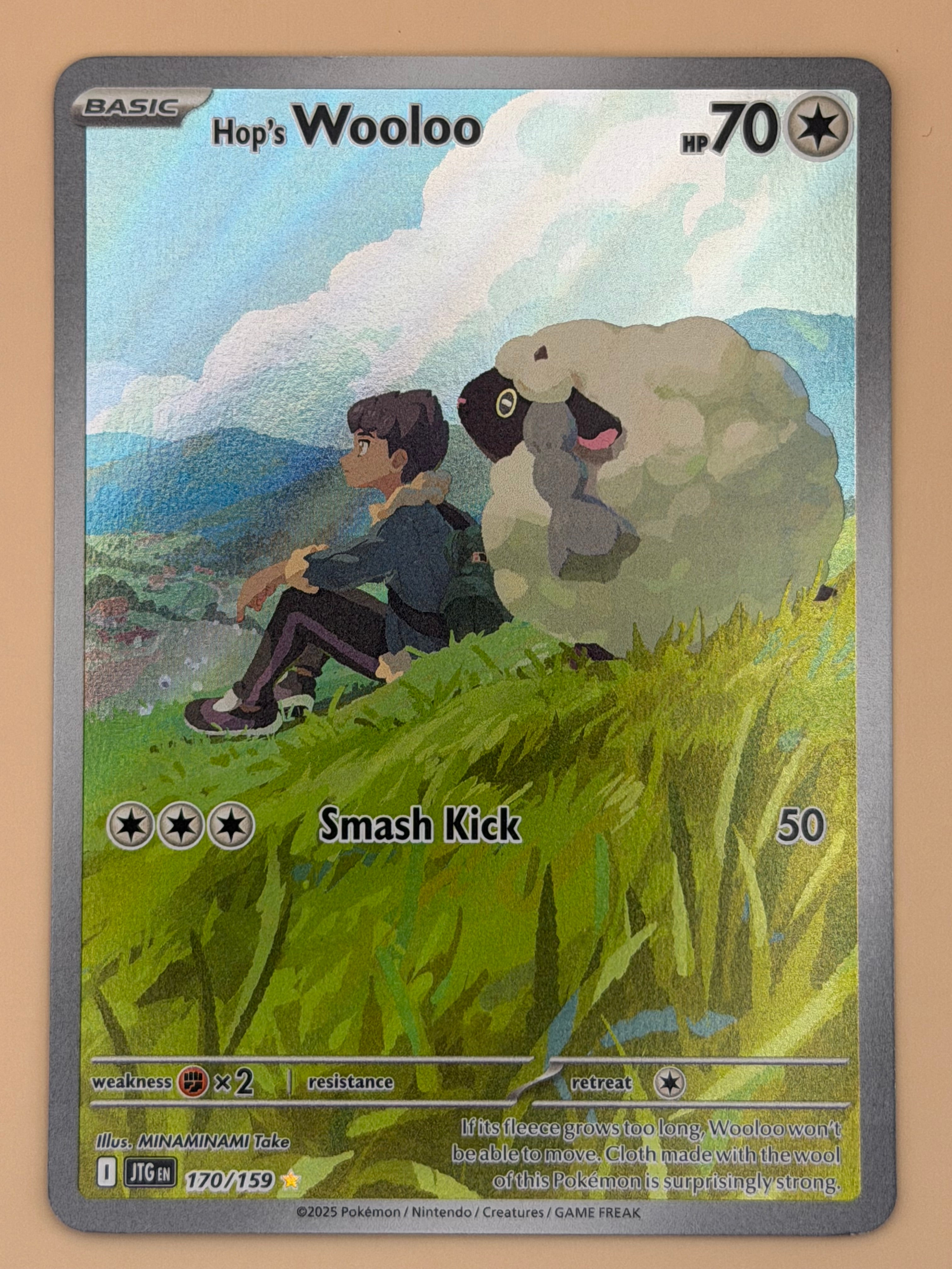 170/159 Hop's Wooloo - Journey Together