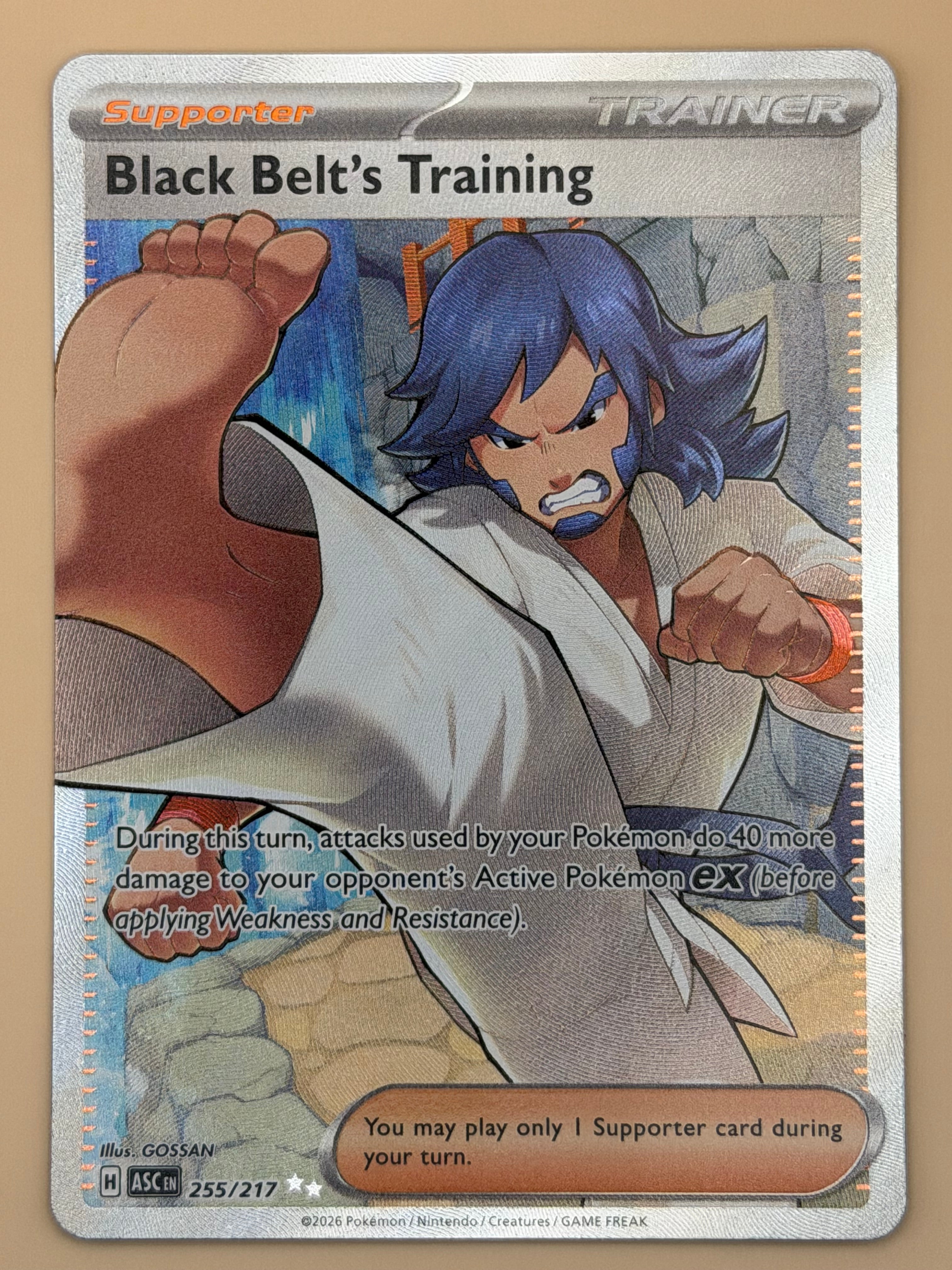 255/217 Black Belt's Training - Ascended Heroes