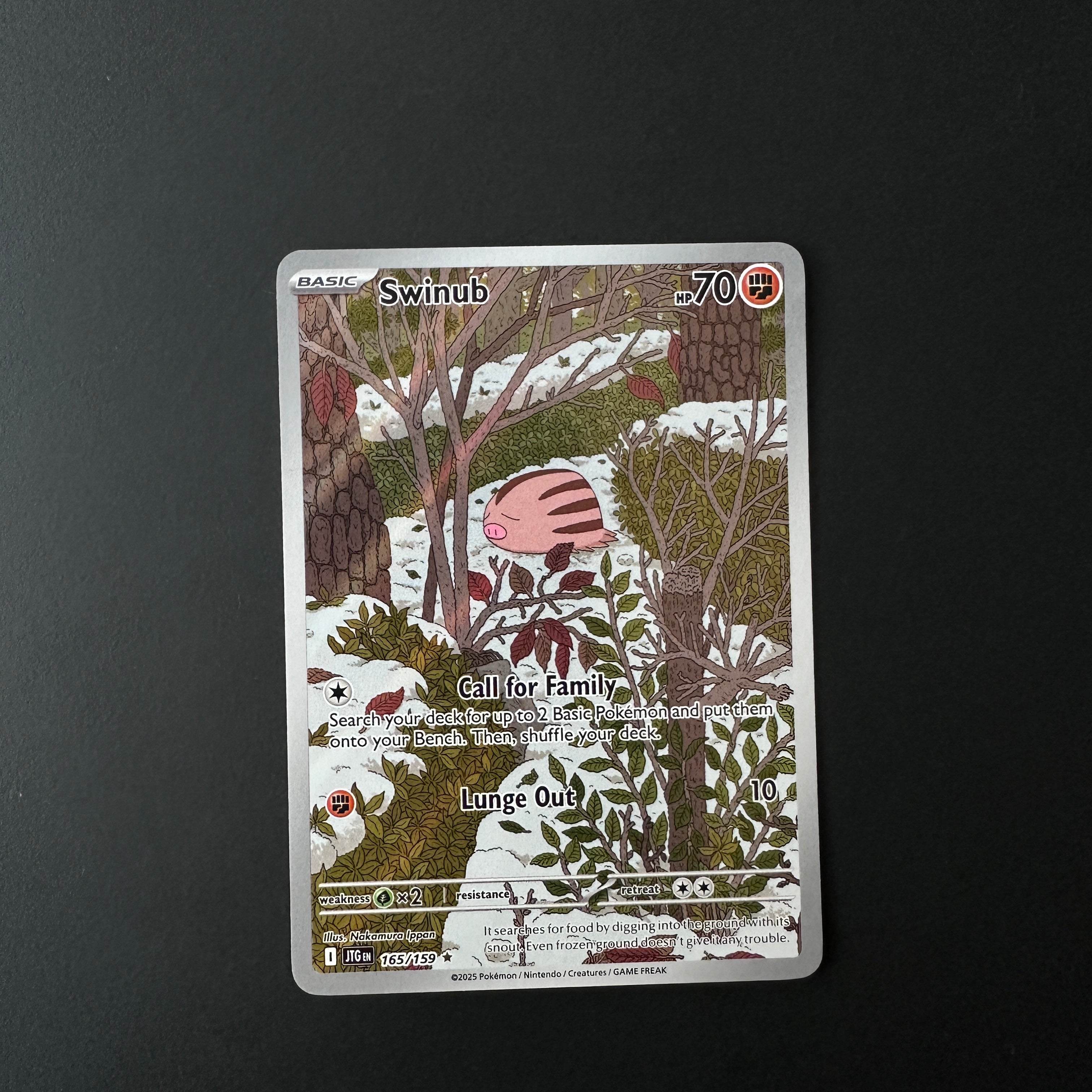 Swinub Journey Together Illustration Rare 165/159