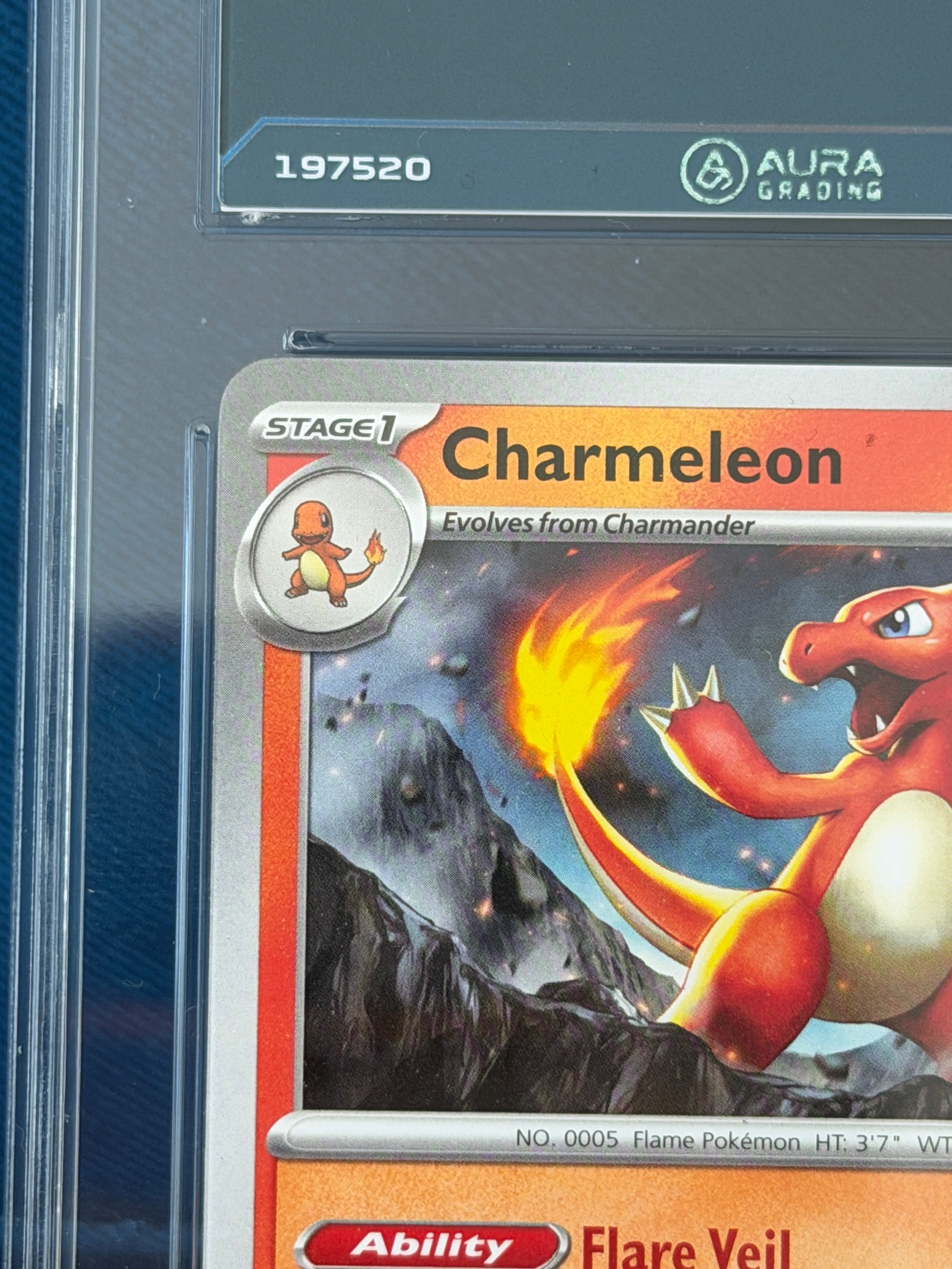 Aura Grading 9 - Charmeleon #008 - Paldean Fates