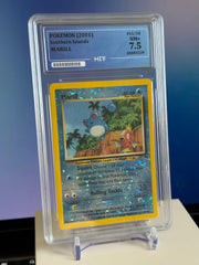 Pokemon Southern Islands (2001) Marill - HIT 7.5