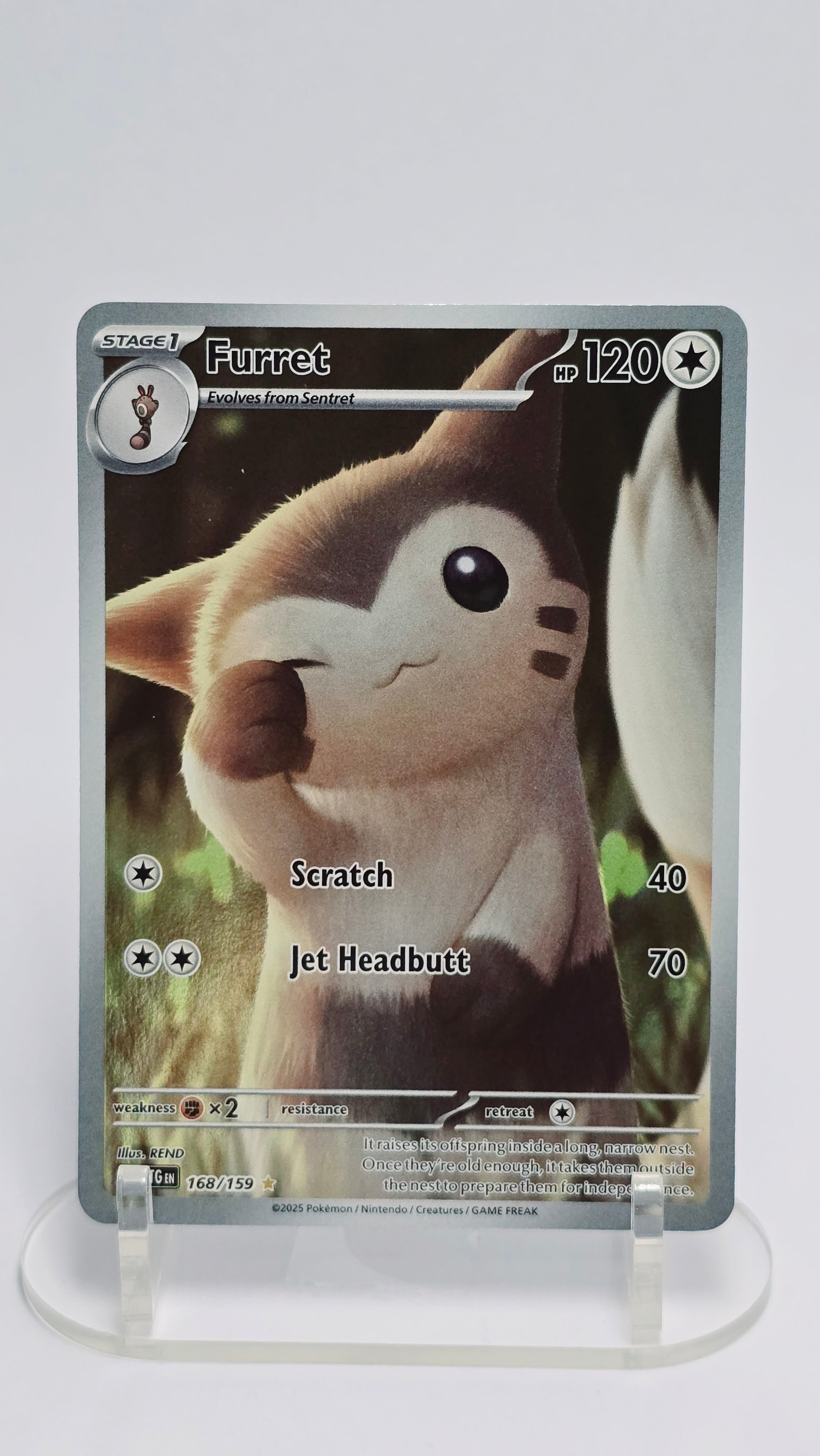 Furret - Journey Together - IR 168/159 - English