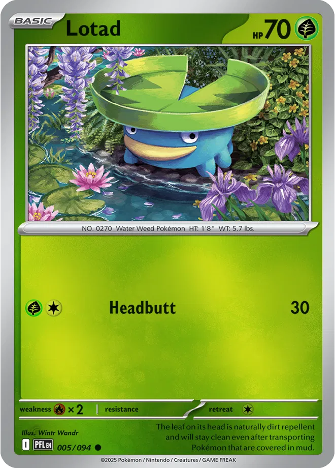 Lotad Phantasmal Flames Common • 005/094 Reverse Holofoil by Pokezero on MYNTED