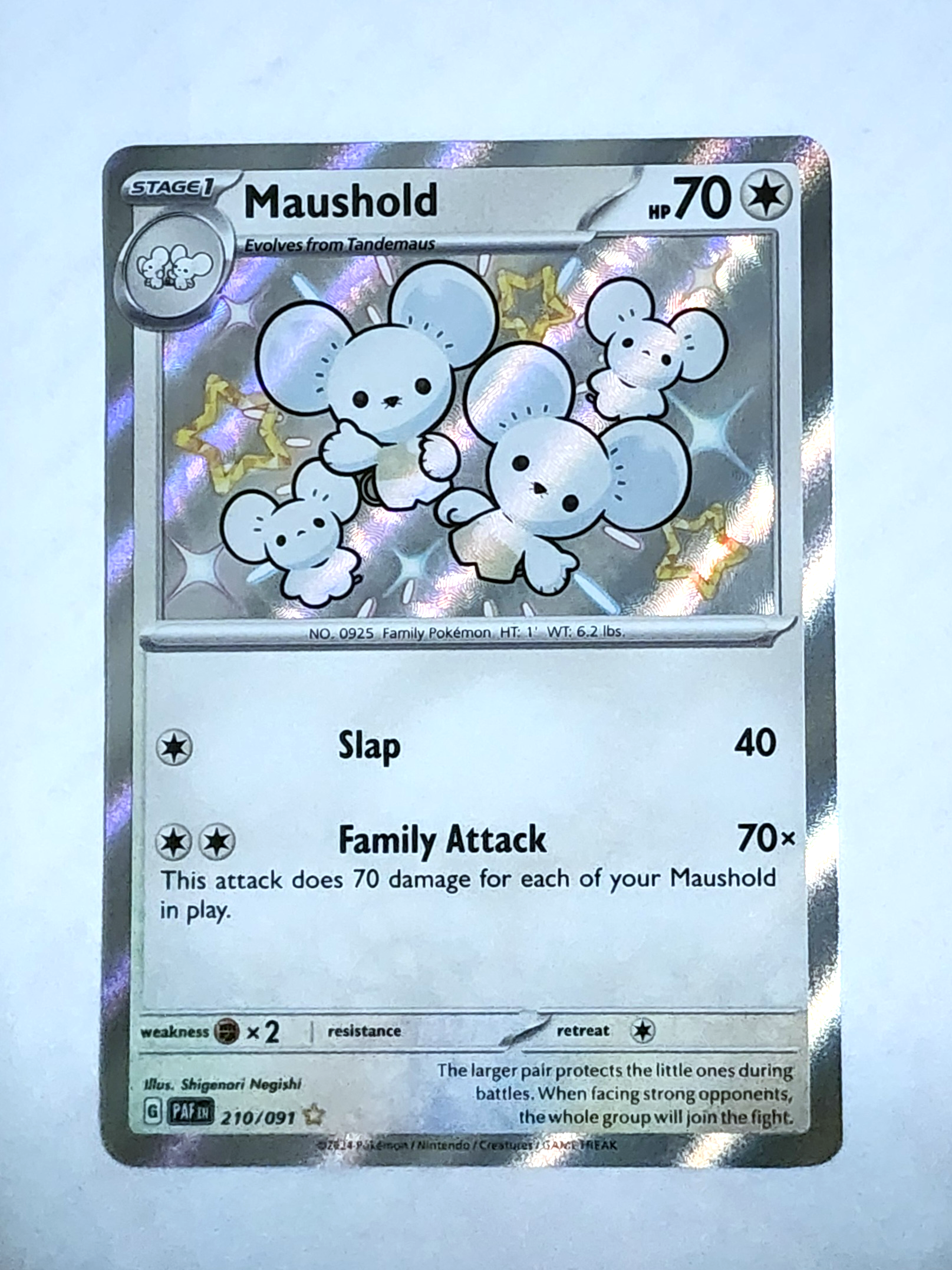 Maushold - 210/091 Shiny Rare