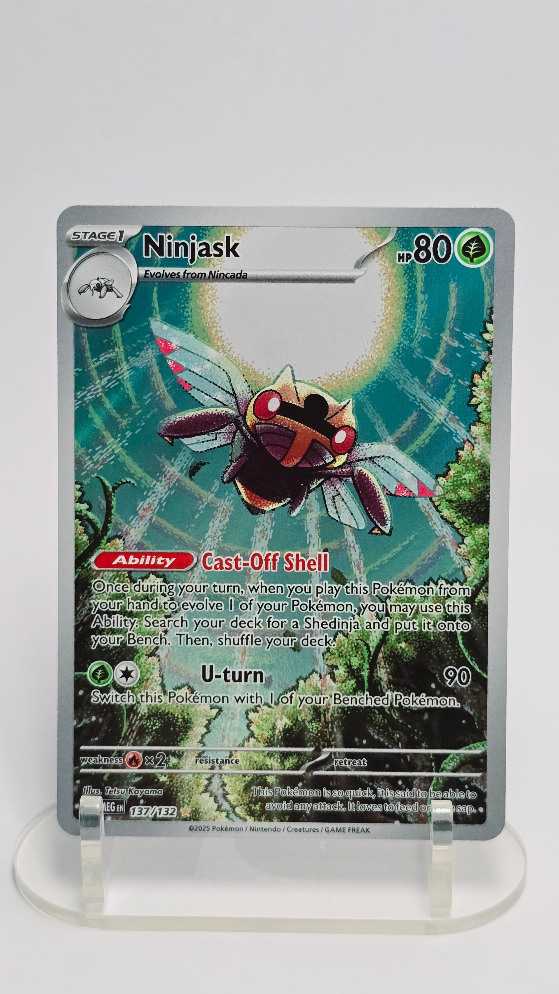 Ninjask - Mega Evolution - IR 137/132 - English