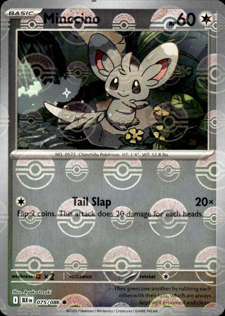 Minccino - 075/086 (Poke Ball Pattern) - SV: Black Bolt (BLK) by SAFAQATI on MYNTED