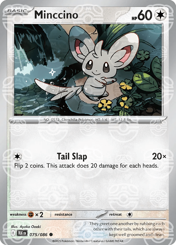 Minccino (Master Ball Pattern) 075/086 (Black Bolt) by Mikeepulls on MYNTED