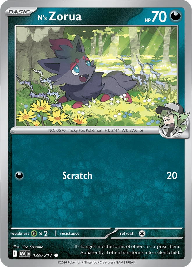 N's Zorua 136/217 (Ascended Heroes) by Collectorbull on MYNTED