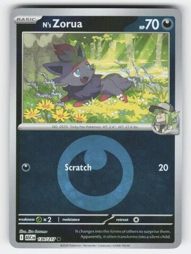 N's Zorua 136/217 - Ascended Heroes - Energy Symbol Pattern by Light Collectibles on MYNTED