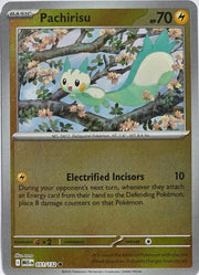 Pachirisu [Reverse Holo] 51 Pokemon Mega Evolution by Moe‘s Vault on MYNTED