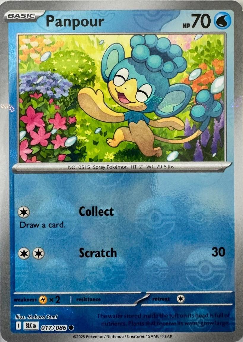 Panpour - 017/086 (Poke Ball Pattern) - SV: Black Bolt (BLK) by SAFAQATI on MYNTED