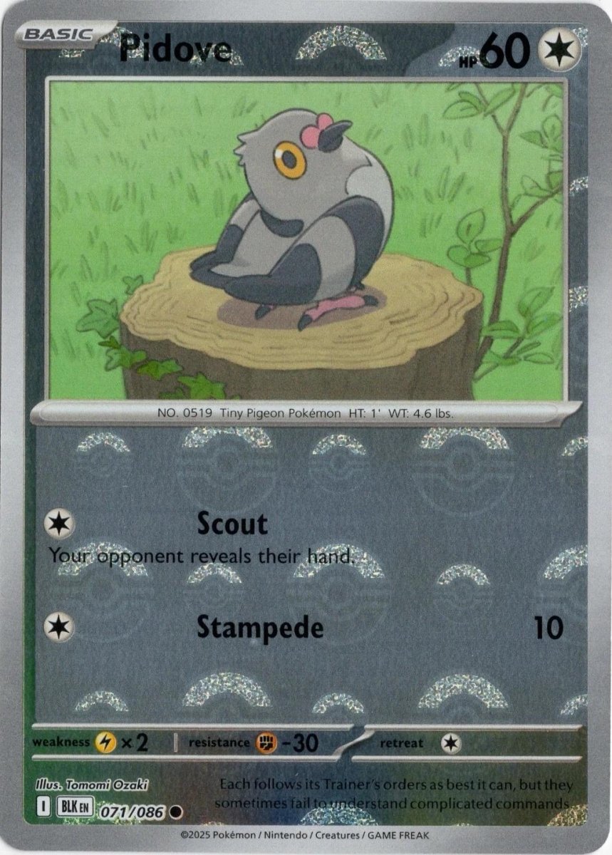 Pidove - 071/086 (Poke Ball Pattern) - SV: Black Bolt (BLK) by SAFAQATI on MYNTED