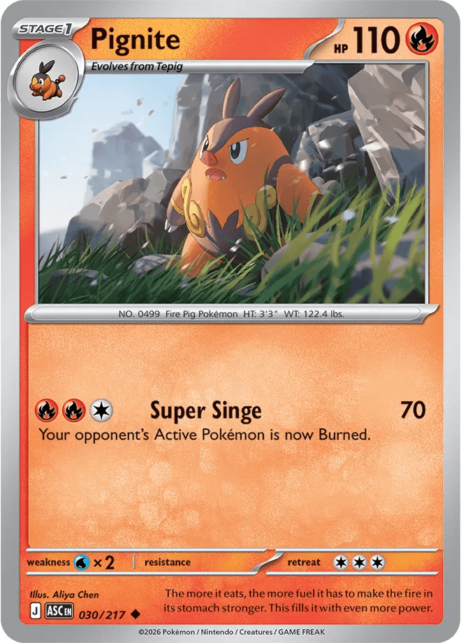 Pignite 030/217 (Ascended Heroes) by PokéPW on MYNTED