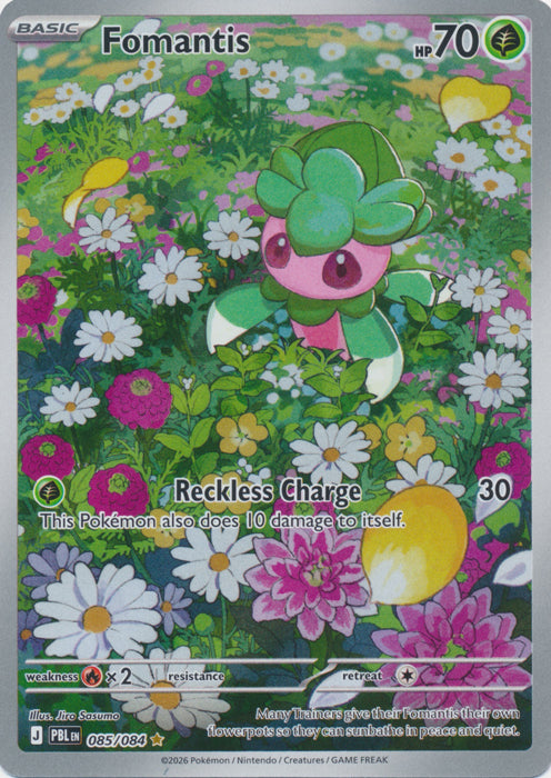 Fomantis - 085/084