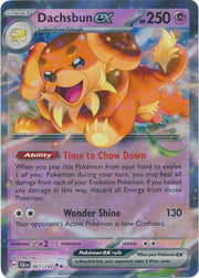 Dachsbun ex - 067/142