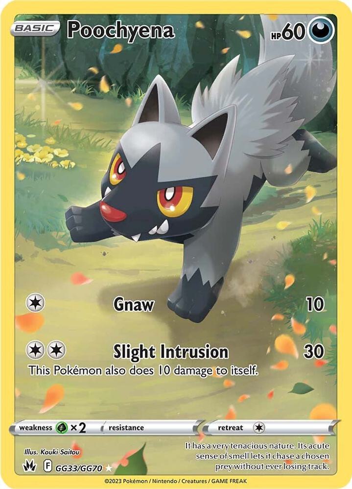 Pokemon Crown Zenith Galarian Gallery Poochyena GG33 by Apex Cards on MYNTED