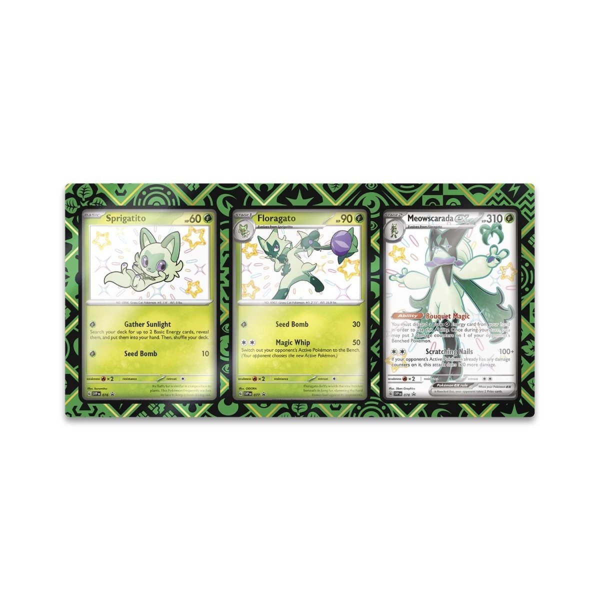 Pokémon - Paldean Fates Premium Collection Promo Display - (Green) by Poké Zen DXB on MYNTED