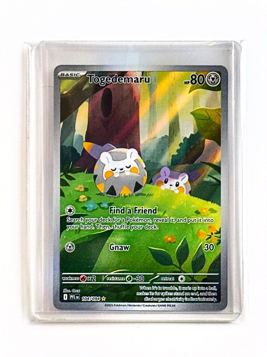 Pokemon - Togedemaru - 104/094 - ME02: Phantasmal Flames (PFL) by TCGDON on MYNTED