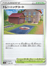 Training Court (JP) 180/190 (Shiny Star V)