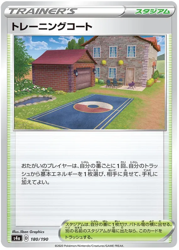 Training Court (JP) 180/190 (Shiny Star V)