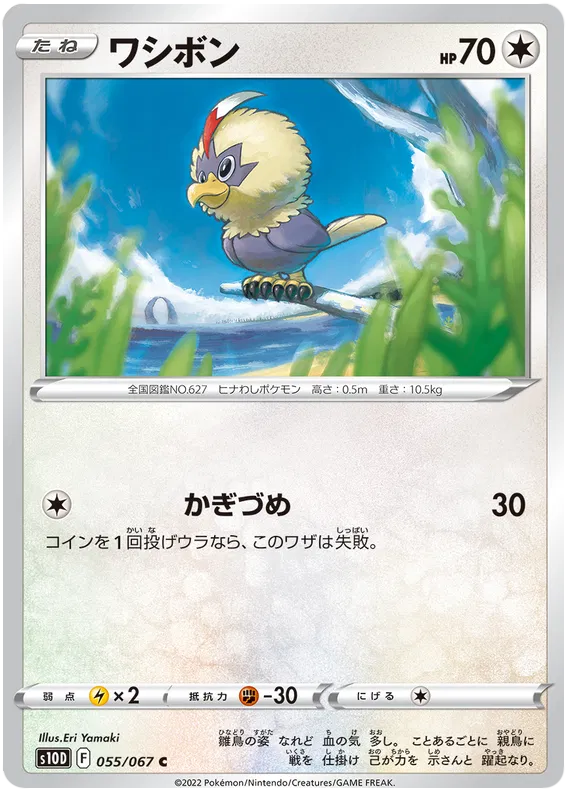 Rufflet (JP) 055/067 (Time Gazer)