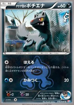 Team Aqua's Poochyena (JP) 016/034 (Double Crisis)