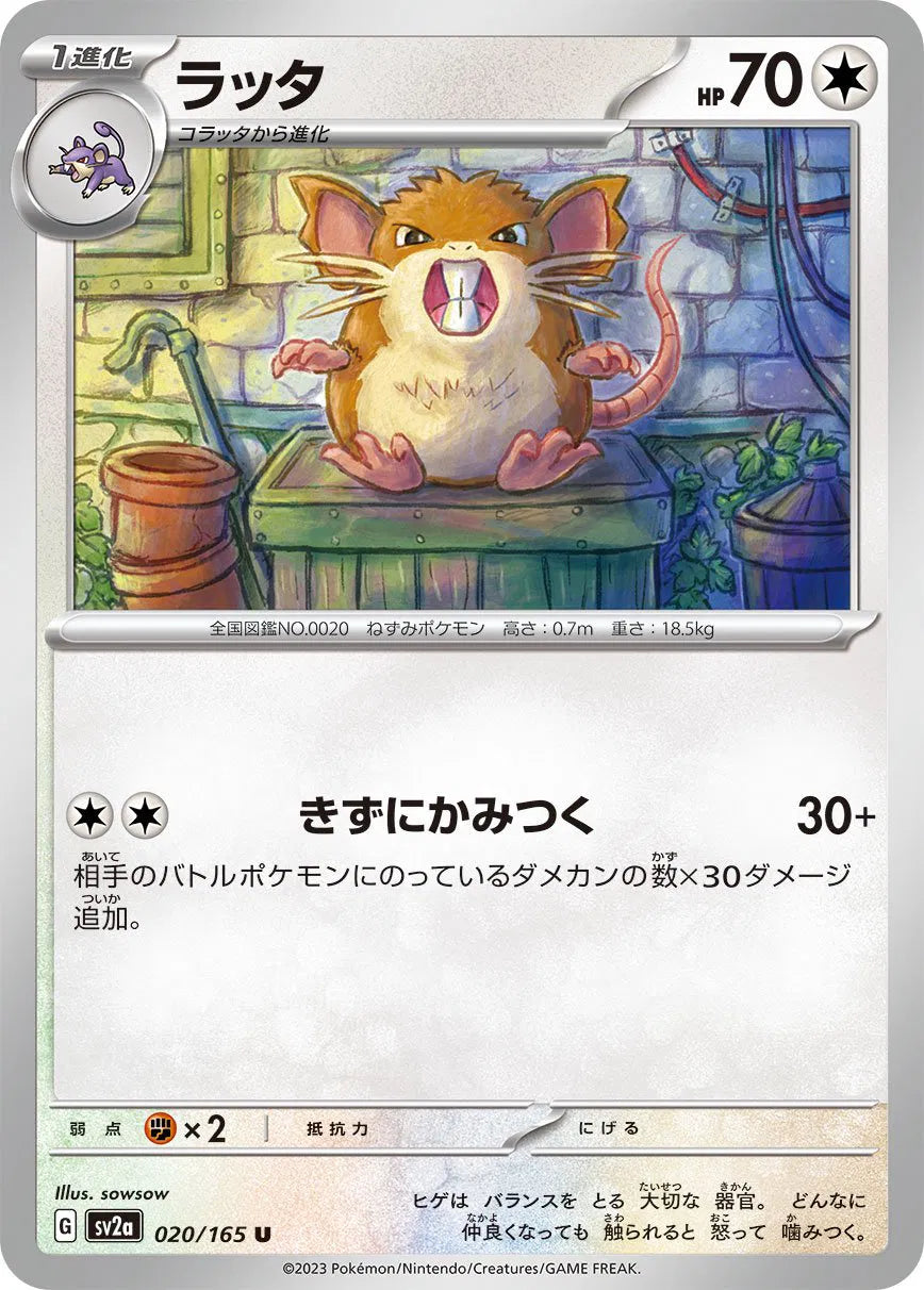 Raticate (JP) 020/165 · Normal (Pokemon 151)