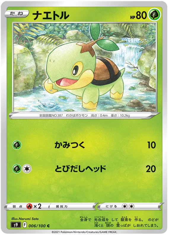 Turtwig (JP) 006/100 (Star Birth)