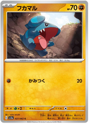 Gible 027/062 Common | Raging Surf