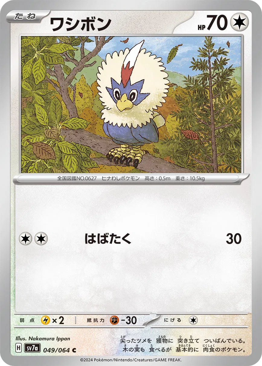 Rufflet (JP) 049/064 (Paradise Dragona)