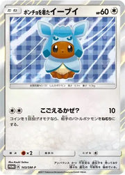 Poncho Eevee (JP) 143/SM-P (Sun & Moon Promos (JP))
