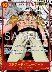 One Piece Newgate Manga - Japanese