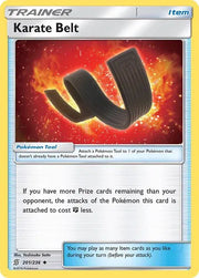 Karate Belt 201/236 · Normal (Unified Minds)