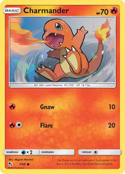 Charmander 7/68 · (Hidden Fates) by Megumi
