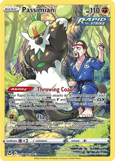 Passimian TG08/TG30 · Holofoil (Silver Tempest Trainer Gallery)