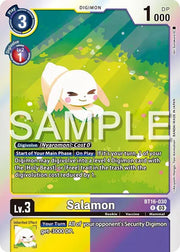 Salamon BT16-030 R (Beginning Observer)