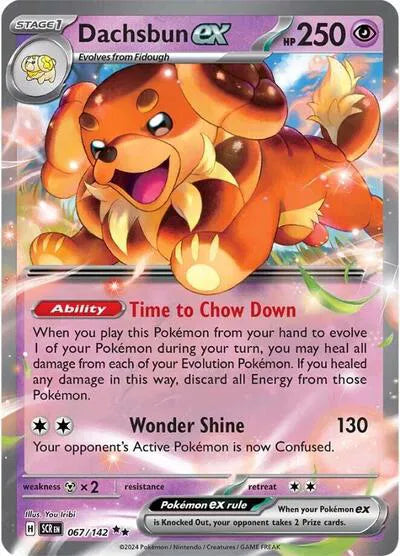 Dachsbun ex 067/142 (Stellar Crown)