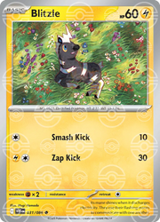 Blitzle (Poke Ball Pattern) 031/086 (White Flare)