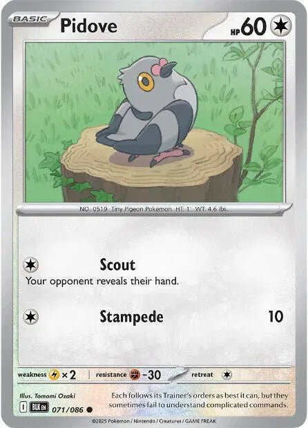 Pidove 071/086 · Reverse Holofoil (Black Bolt)