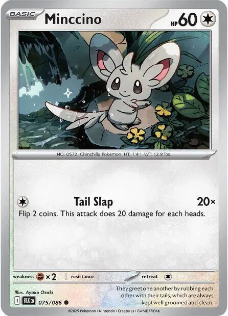 Minccino 075/086 · Normal (Black Bolt)