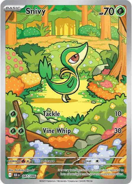 Snivy 087/086 (Black Bolt)