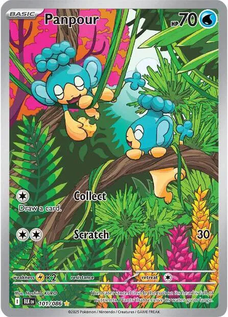 Panpour 101/086 · Holofoil (Black Bolt)